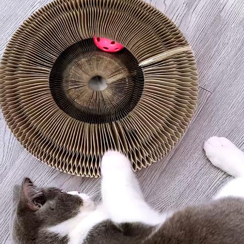 Griffoir pour Chat - Planche d'Orgue Magique - Carton Ondulé - Jouet Interactif avec Balle - Pliable et Modulable - Respectueux de l'Environnement